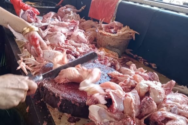 Menghitung Hari Ramadhan Tiba, Ayam Potong di Pasar Tradisional Topoyo Alami Kenaikan Harga