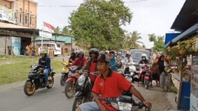 Arus Lalin di Jalan Poros Tumbu Mateng Kembali Normal Pasca Pohon Tumbang