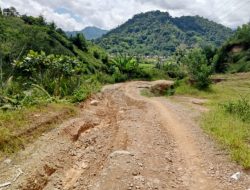 Dapat Membahayakan Pelintasnya, Infrastruktur Jalan di Kecamatan Mehalaan Dikeluhkan