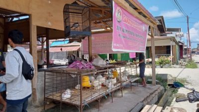 Harga Ayam Potong di Pasar Topoyo Menurun, Ayam Kampung Tembus Rp 250