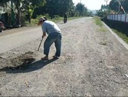 Jalan Berlubang Didepan SD Inpres Bayor Topoyo Mateng, Butuh Perhatian