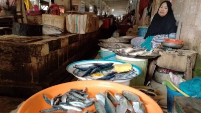 Harga Ikan di Pasar Sentral Majene Tergolong Tidak Stabil