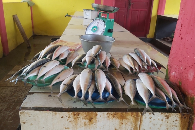 Ikan Di Pasar Anaiwoi Terpantau Mahal Dan Langkah