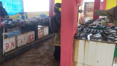 Sempat Langkah, Stok Ikan di P3HP Tanggetada Kembali Amam