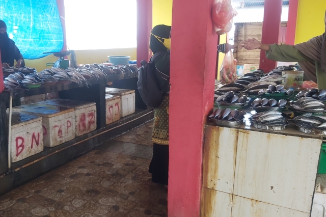 Sempat Langkah, Stok Ikan di P3HP Tanggetada Kembali Amam