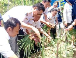 Pj. Mamasa Ajak Masyarakat Tingkatkan Ekonomi Dengan Bertani