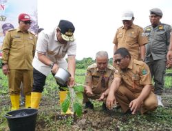 Pj. Gubernur Sulbar Dorong Komoditi Sukun Jadi Kebanggaan Indonesia