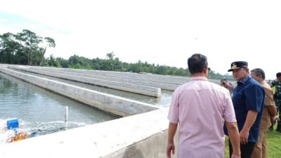 Pj. Gubernur Sulbar Kunjungi Tambak Udang Di Pasangkayu, Warga Diminta Geluti Usaha Perikanan